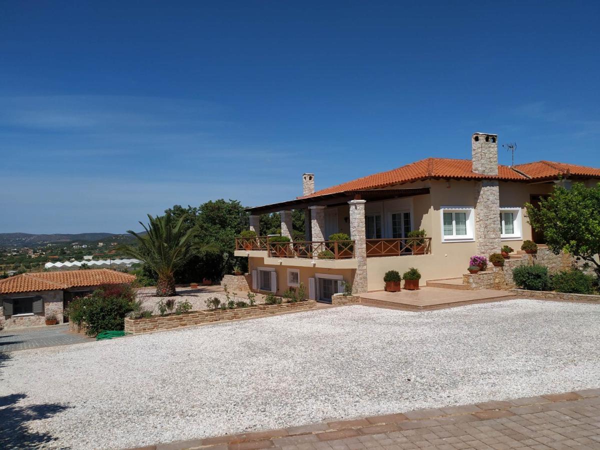 Villa Vena Палая-Фокая Екстер'єр фото